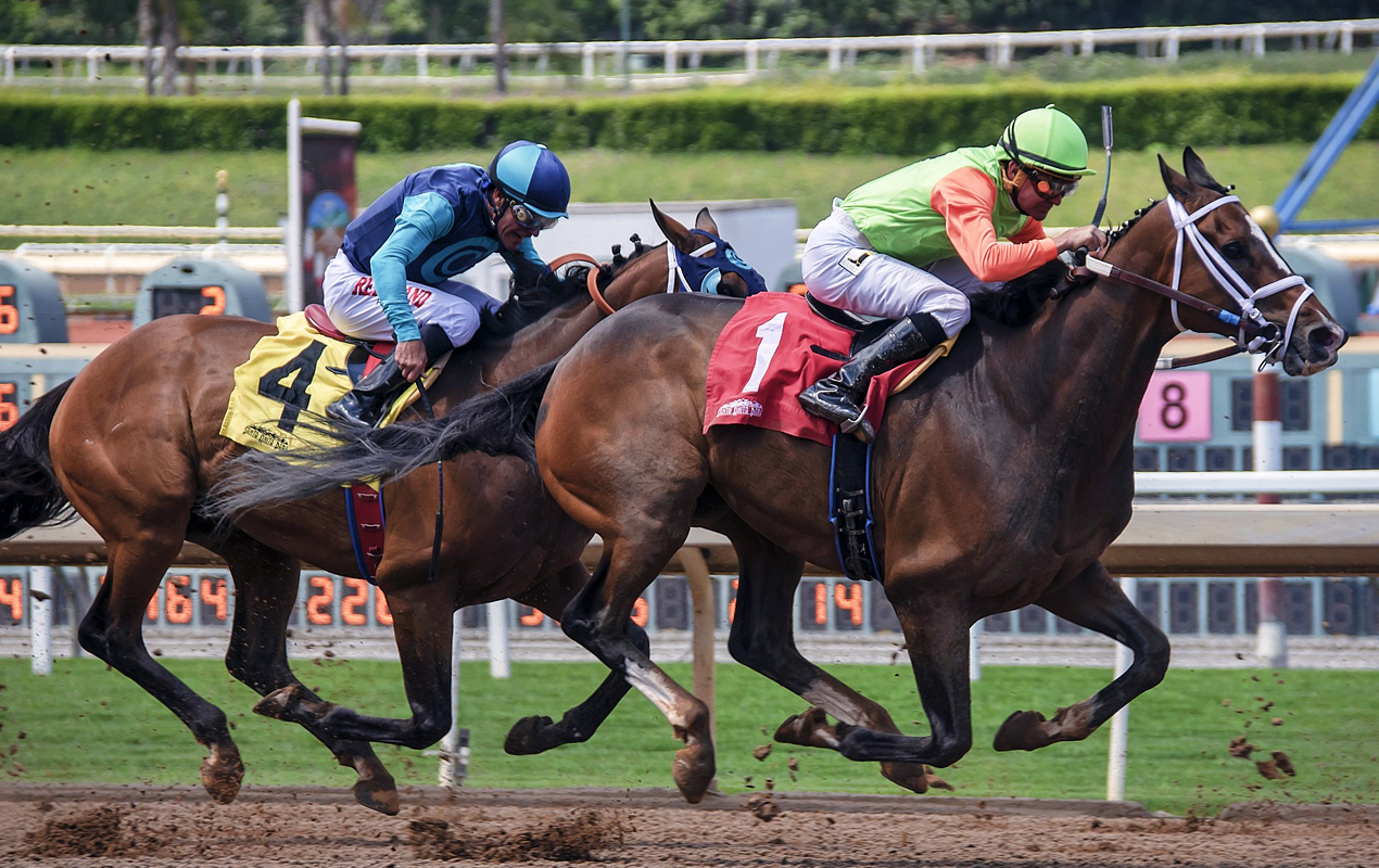 Two horses and jockeys racing on a race track similar to Del Mar, Churchill Downs, and Belmont