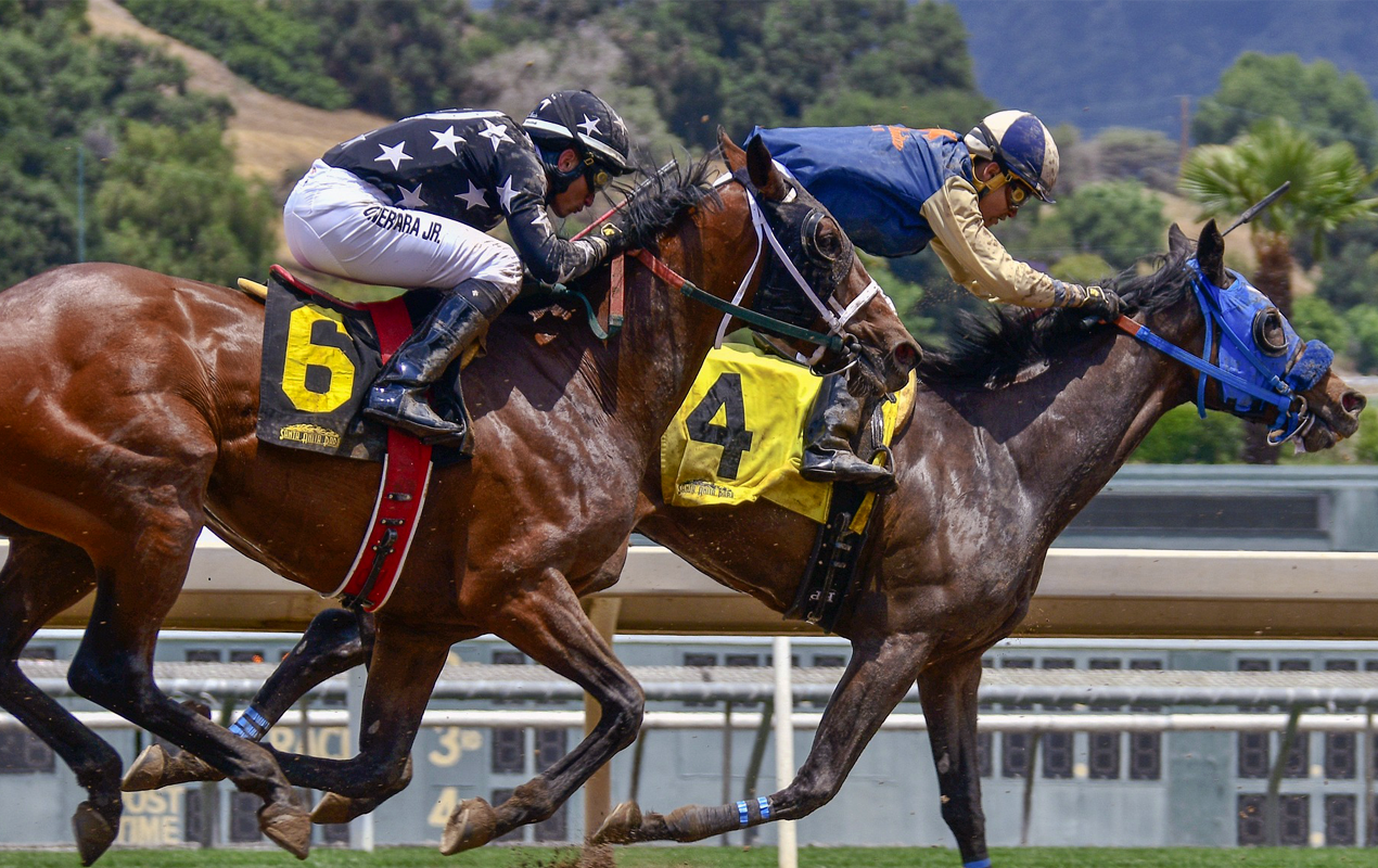 Two horses neck and neck racing on a race track similar to Del Mar, Gulfstream park, and other professional horse racing tracks