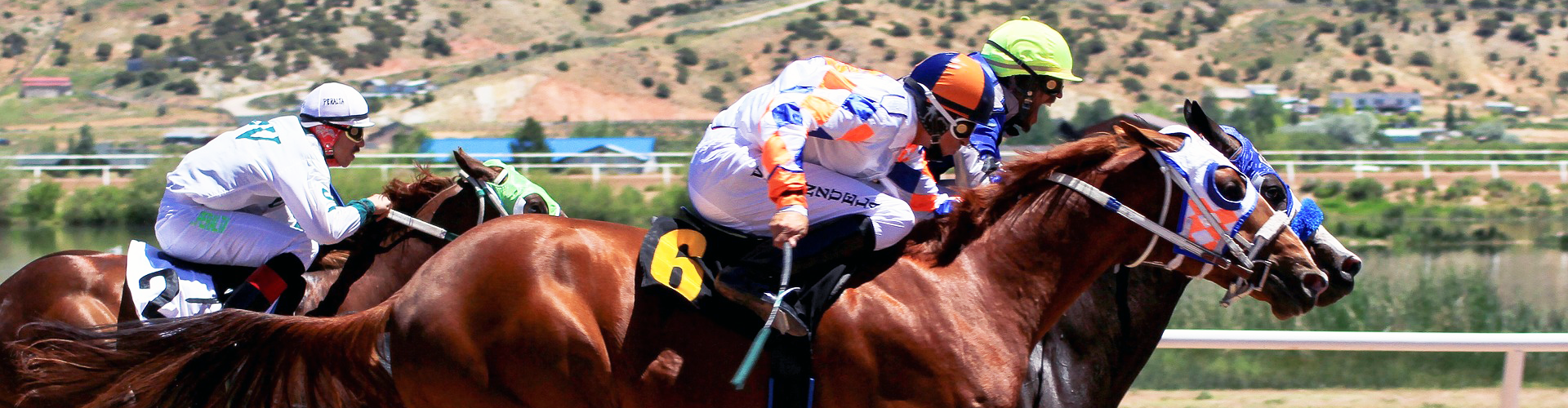 Top horse race betting - DRF - Winning horses on racetrack